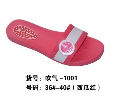 PVC Airblow-Shoes Mould (1001)