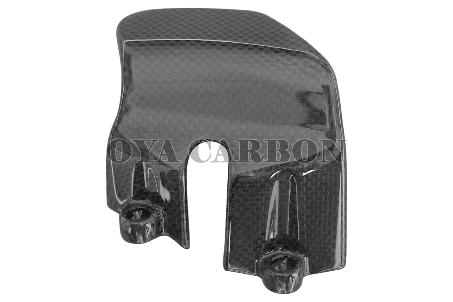 Carbon Fiber Clutch Cover for BMW K1200R