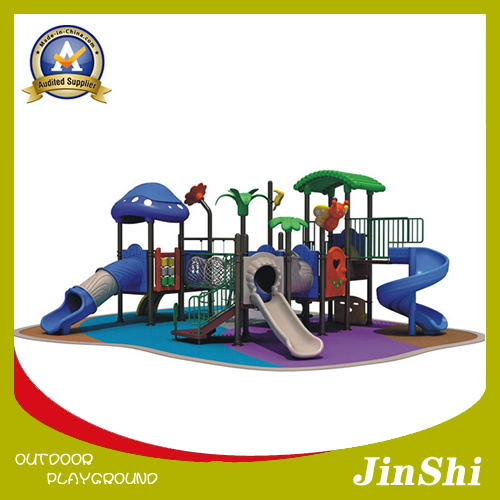 Fairy Tale Series 2013 Latest Outdoor/Indoor Playground Equipment, Plastic Slide, Amusement Park Excellent Quality En1176 Standard (TG-006)
