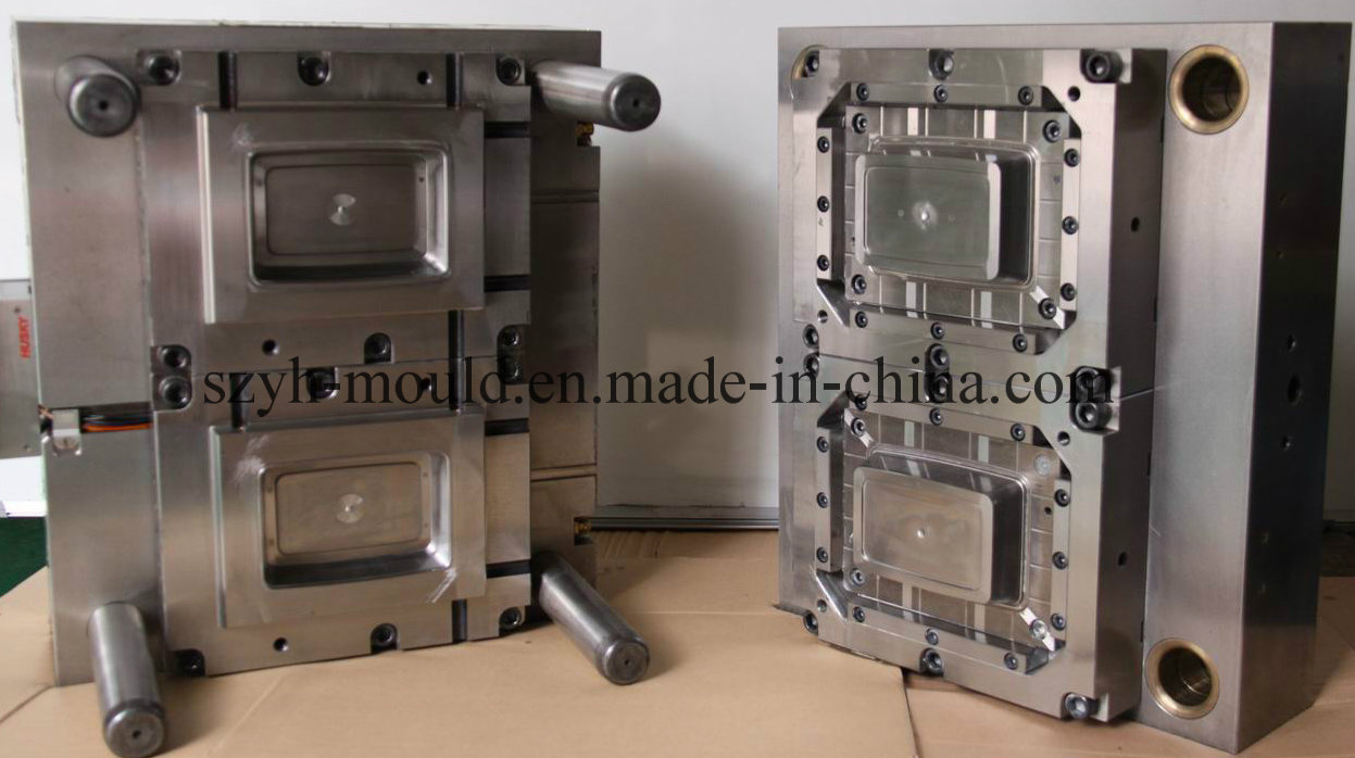 Plastic Thin Wall Multi Cavity Mould