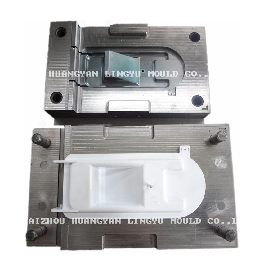 Plastic Parts Mould Die (LY-9004)