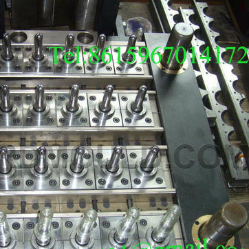Cheap Price Good Quality Preform Mould