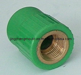 PPR Female Coupler Mould/Moulding
