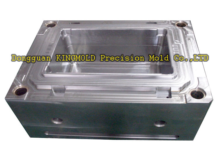 Plastic Injection Mould/Mold