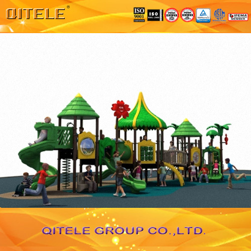 Outdoor Playground Tropical Series Children Playground (TP-12701)