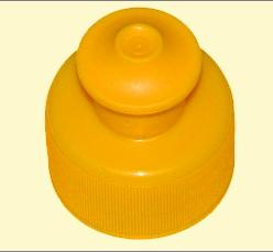 Cap Mould