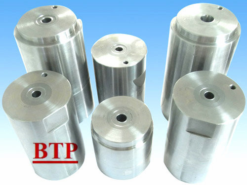 Carbide Tungsten Cold Heading Die (BTP-P117)