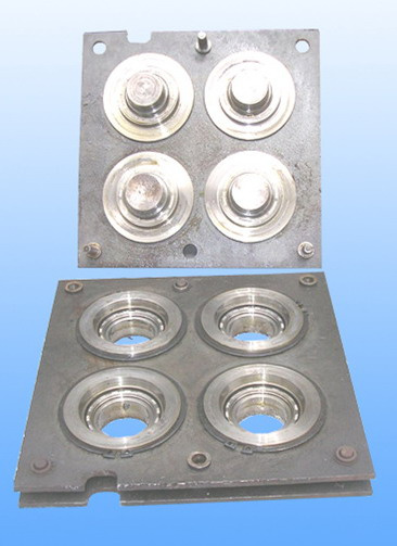 Seals Mold