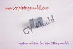 Plastic Injection Mold for Pb Fitting