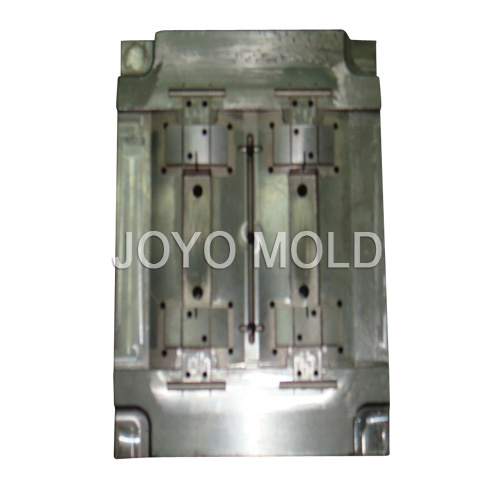 Mould (DSC05763)