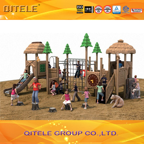 Children Outdoor Playground Amusement Park Equipment (2014NL-02701)