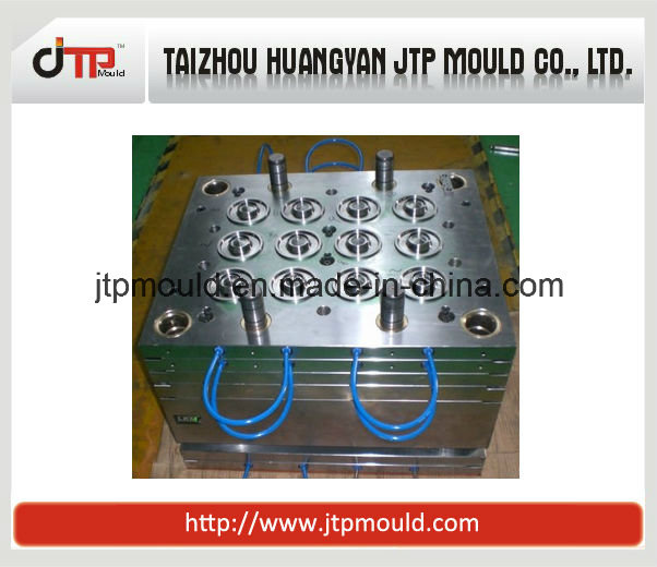 12 Cavities of Plastic Cap Mould