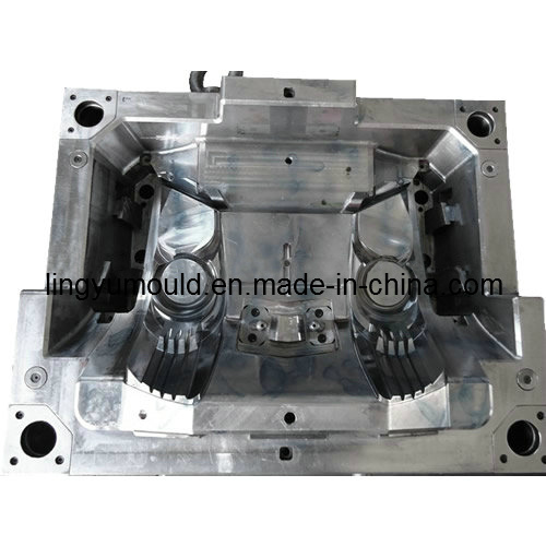 Auto Plastic Moulding (LY-6009)