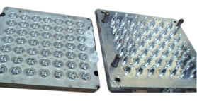 Silicon Mold