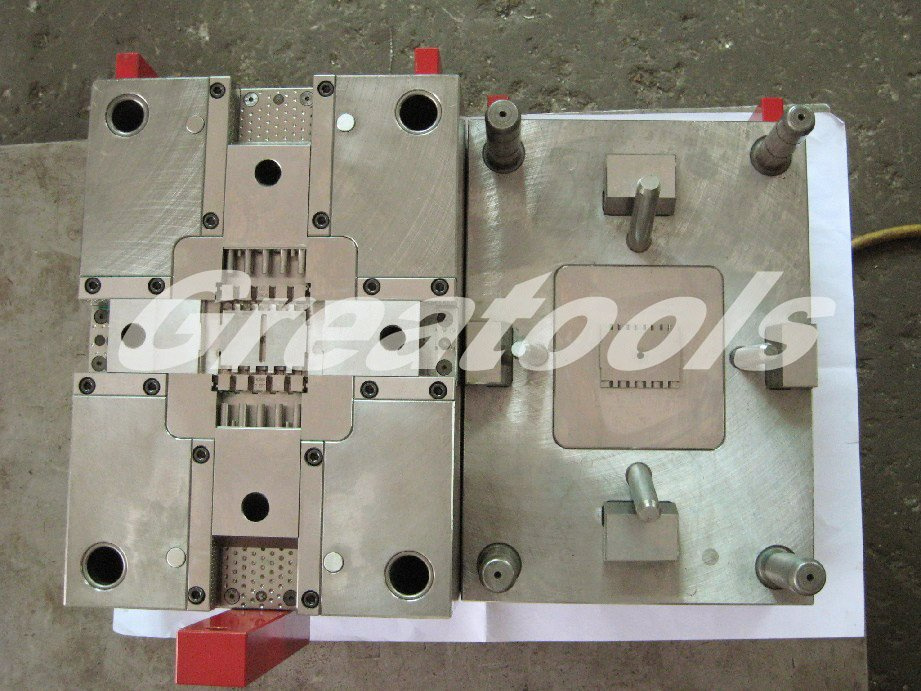 Injected Mold (GTS022)