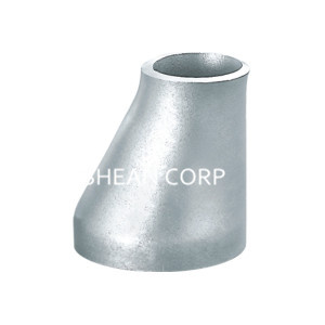 Butt Welded Pipe Reducer DIN 2616