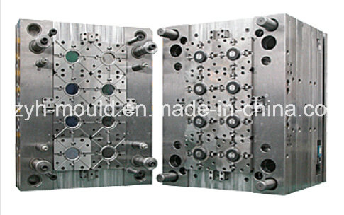 Plastic Packaging Multi Cavity Mould