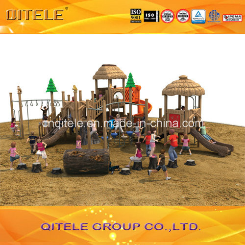 2015 Natural Landscape Series Outdoor Children Playground Equipment (NL-01201)