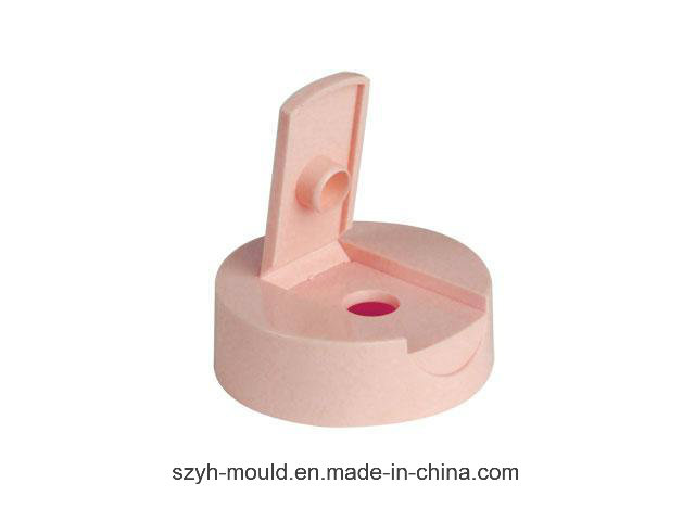Plastic Flip Top Closure Multi Cavity Mould