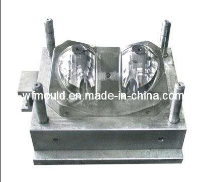 Fiberglass Auto Light Mould