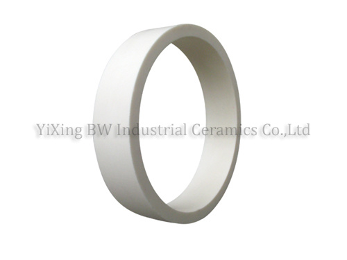 Zirconia Ceramic Ring/Tube