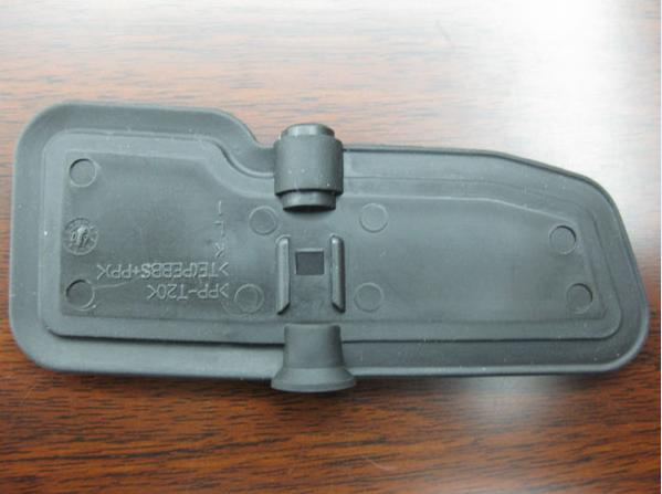 Plastic Overmolding Vane for Automotive