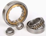 High Temperature Resistant Cylindrical Roller Bearing