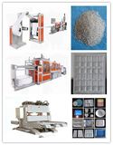 Disposable Plastic Food Container Making Machine