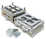 Plastic Thin Wall Multi Cavity Mould