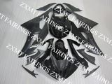 Motorcycle Fairing for YAMAHA (YZF-R6 08-13)