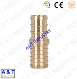 Brass Male Connector Pipe Fitting