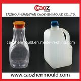 Unique Shape/ Plastic Bottle Blowing Mould