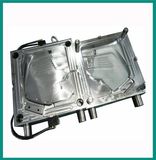 Plastic Auto Parts Mould (xdd189)