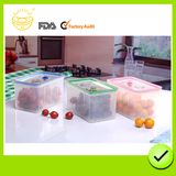 The PP Plastic Vacuum Crisper Mould