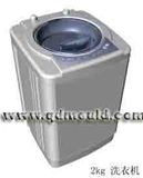 Washing Machine Mould