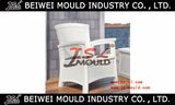 Injection Plastic Outdoor Club Wicker Storage Chair Mould