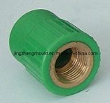 Plastic PPR Adaptor Fitting Mould