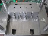 Plastic Injection Mould (changeable insert)