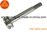 CNC Machining Machined Rivets Screw Bolt Parts (SX142)