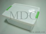 Container Mould