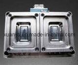 Plastic Injection Crisper, Food Box Mould