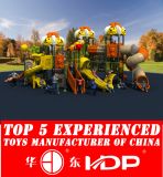 (HD15A-041A) Large Cartoon Beaitiful Outdoor Playground