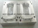 Thin Wall Multi Cavity Mould