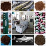 Tilapia Fish Food Pellet Machine