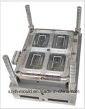 Plastic Thin Wall Multi Cavity Mould