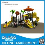 Qilong Superior Quality Outdoor Playground Equipment (QL14-114A)