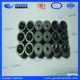 Long Lifespan Yg6 Tungsten Carbide Round Extrusion Dies