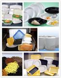 PS Disposable Food Container Making Machine