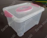 Plastic Boxes Mould