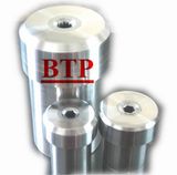 High Precision Punch Die for Screws (BTP-P102)